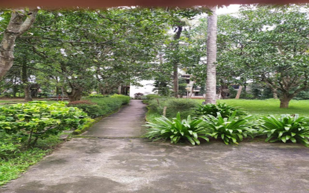 Coorg Green Farm Resort Kushalnagar Ngoại thất bức ảnh