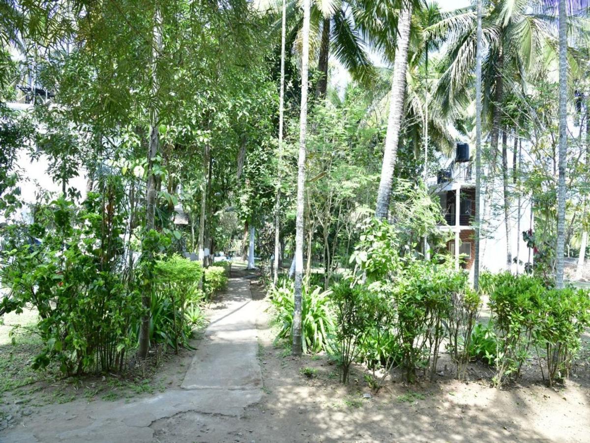 Coorg Green Farm Resort Kushalnagar Ngoại thất bức ảnh