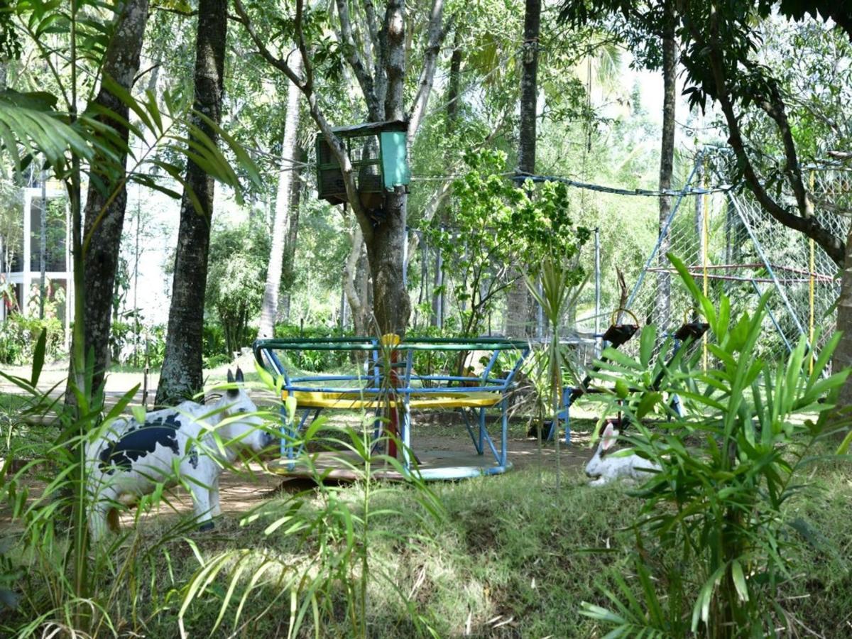 Coorg Green Farm Resort Kushalnagar Ngoại thất bức ảnh